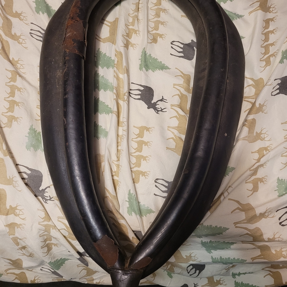 Vintage horse head collar